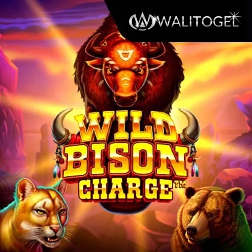 wild bison charge